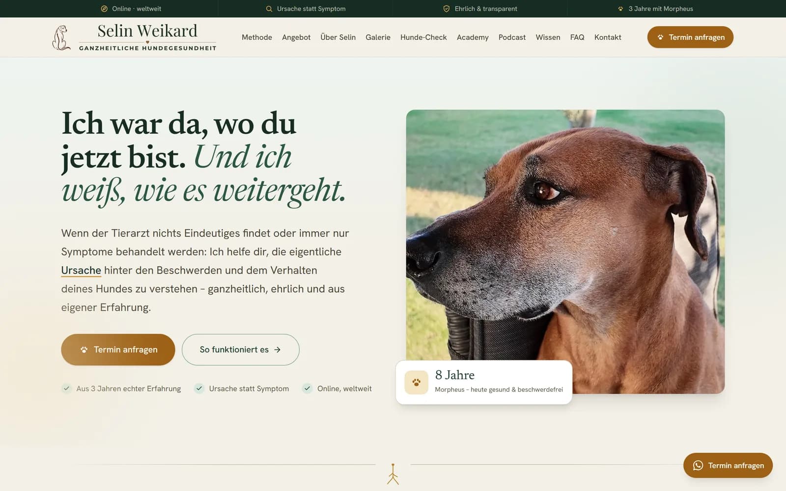 Startseite von Selin Weikard — Ganzheitliche Hundegesundheit · Online-Coaching